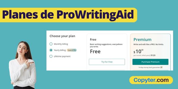 ProWritingAid Price