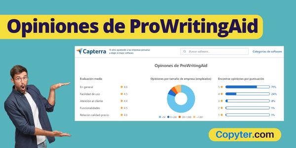 ProwritingAid Grammar Checker