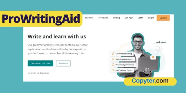 Prowritingaid Online